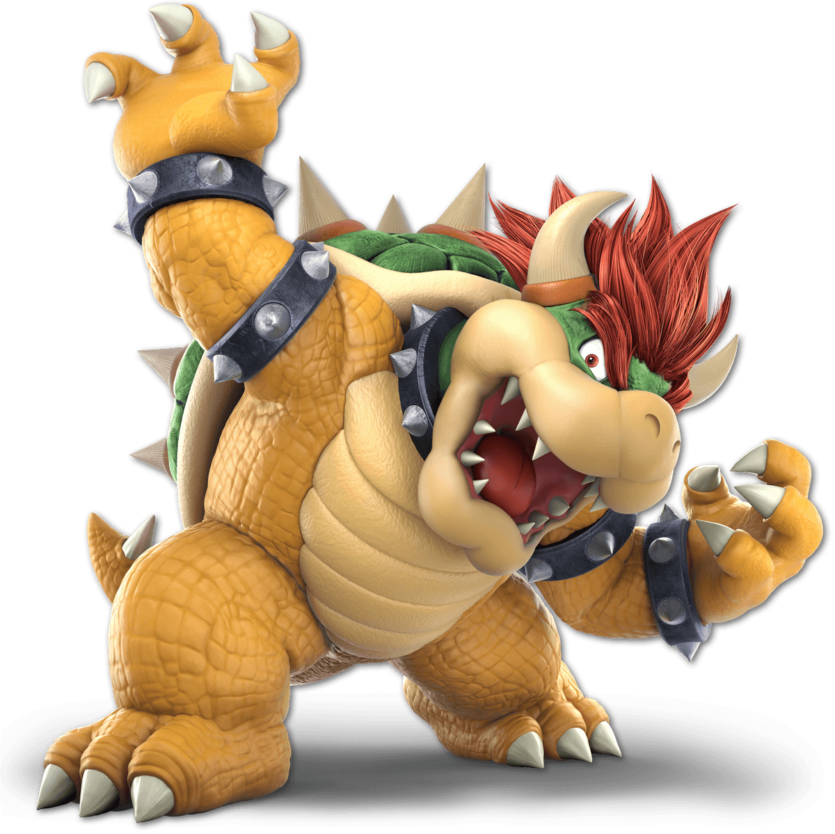main bowser