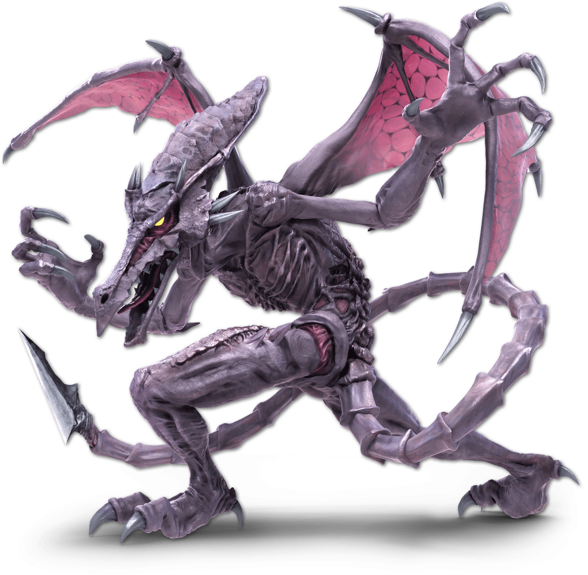 main ridley